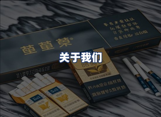 关于我们